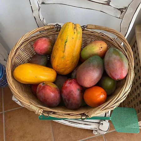 Casa Natalie * Cotillo