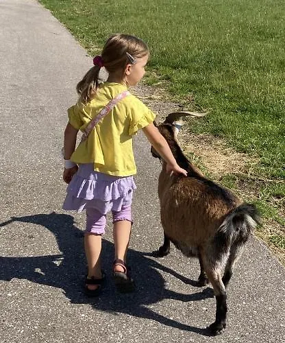 Lejlighed Casa Natalie