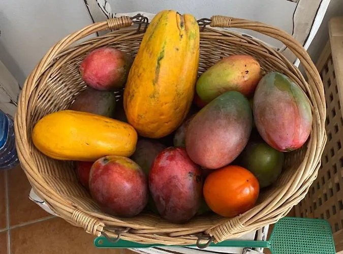 Casa Natalie * Cotillo